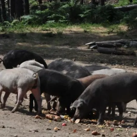 Rez De Machja Vue Et Montagne A 2mn Port Prázdninový dům Sari-Solenzara