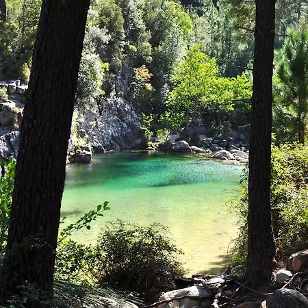 Rez De Machja Vue Et Montagne A 2mn Port Sari-Solenzara