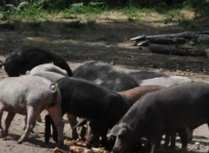 Rez De Machja Vue Et Montagne A 2mn Port Vakantiehuis Sari-Solenzara